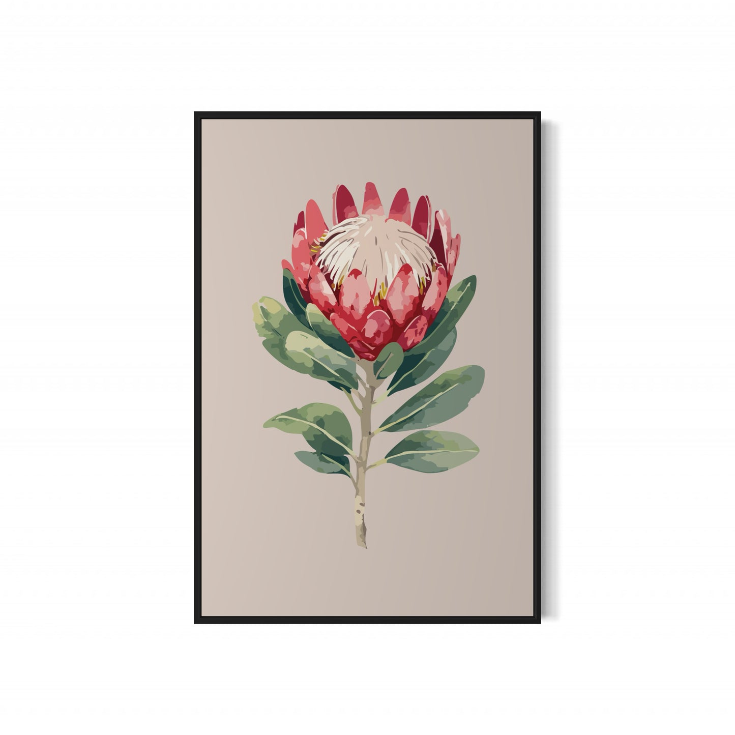 Protea Flower