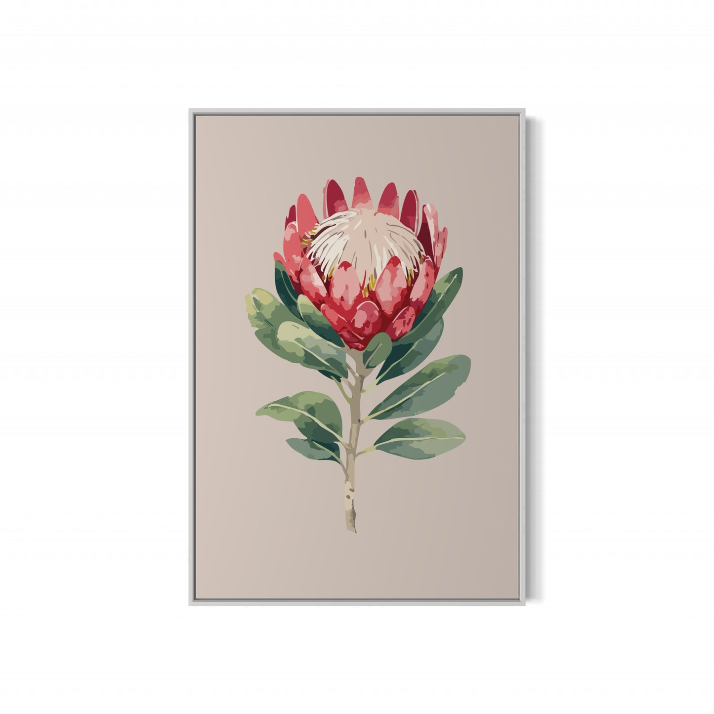 Protea Flower
