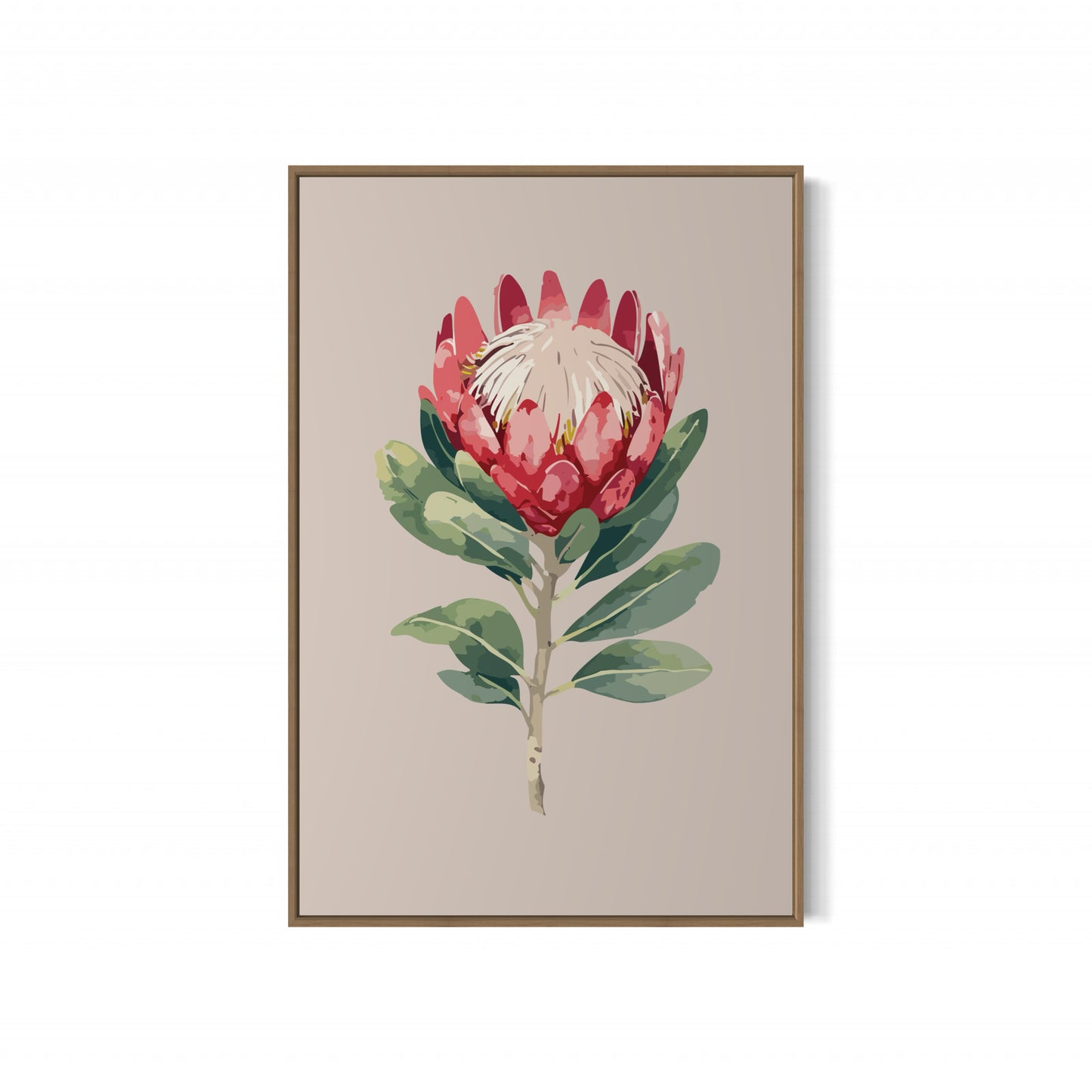 Protea Flower