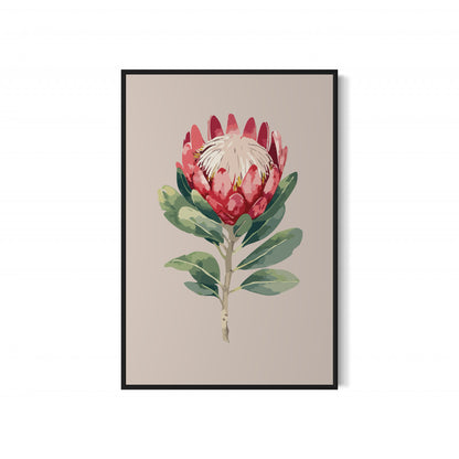 Protea Flower