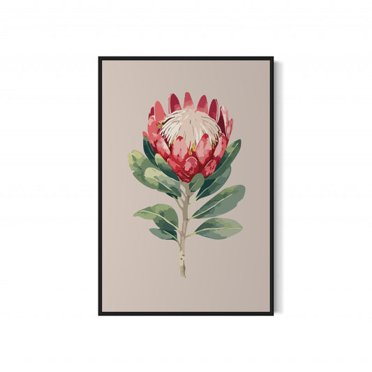 Protea Flower