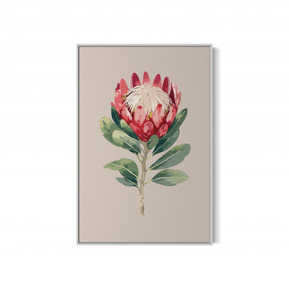 Protea Flower