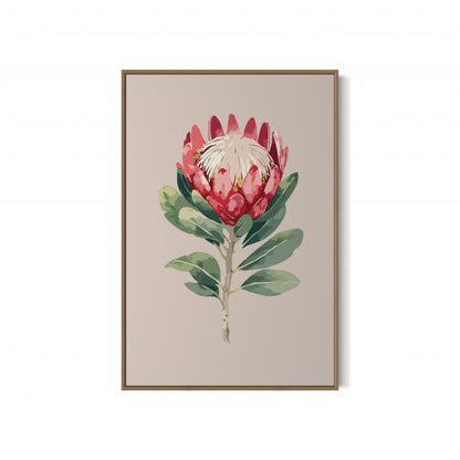 Protea Flower